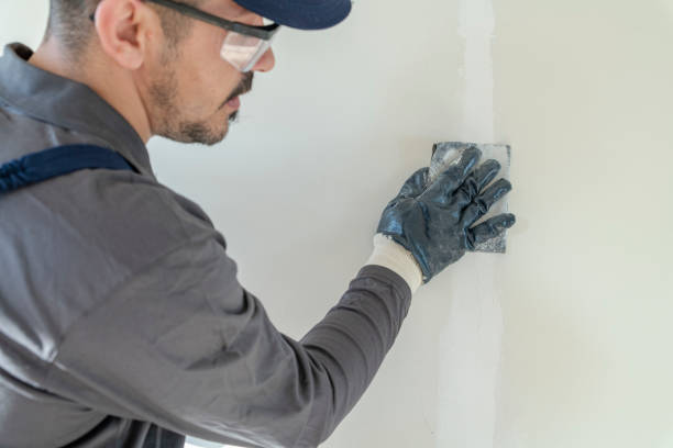Professional Mold Removal in La Mirada, CA